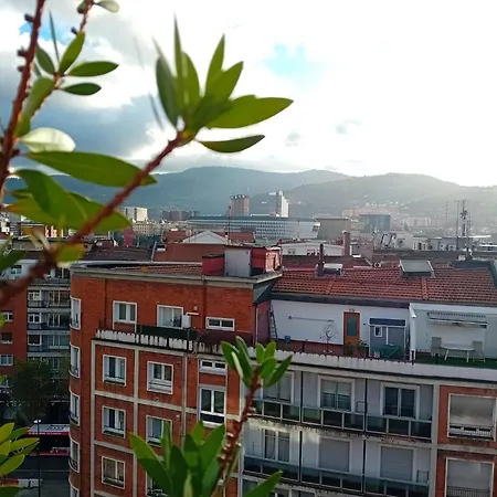 Estudio Deusto-2